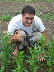 Nate weeds flowers