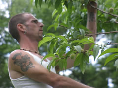 Eric Vanbleck thins peaches from a ladder in June, 2007. Photo by Elizabeth Coe